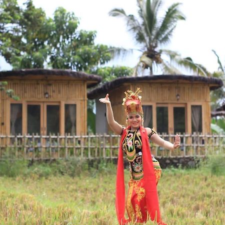Sawah Ijen Hotel Licin Exterior foto