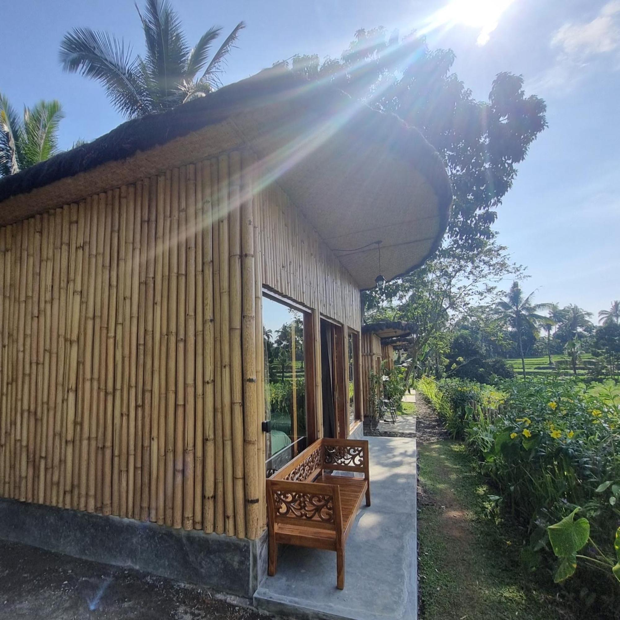 Sawah Ijen Hotel Licin Exterior foto
